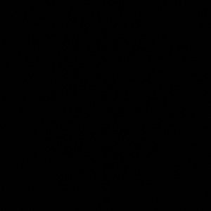 Meet your Posher, Bree